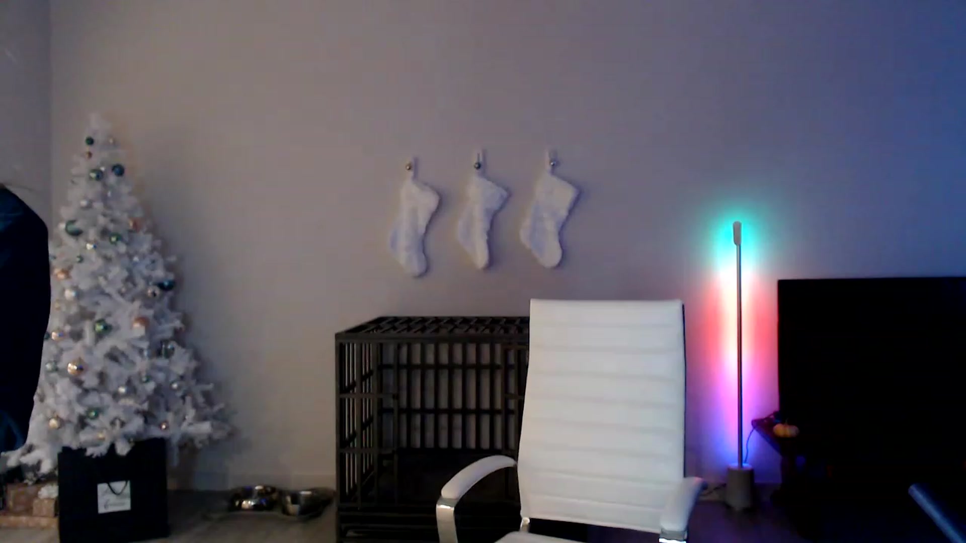 Gallery image thumbnail from highfrequency's myfreecams stream on, 12/11/2022, 03:02 image 17 of 20