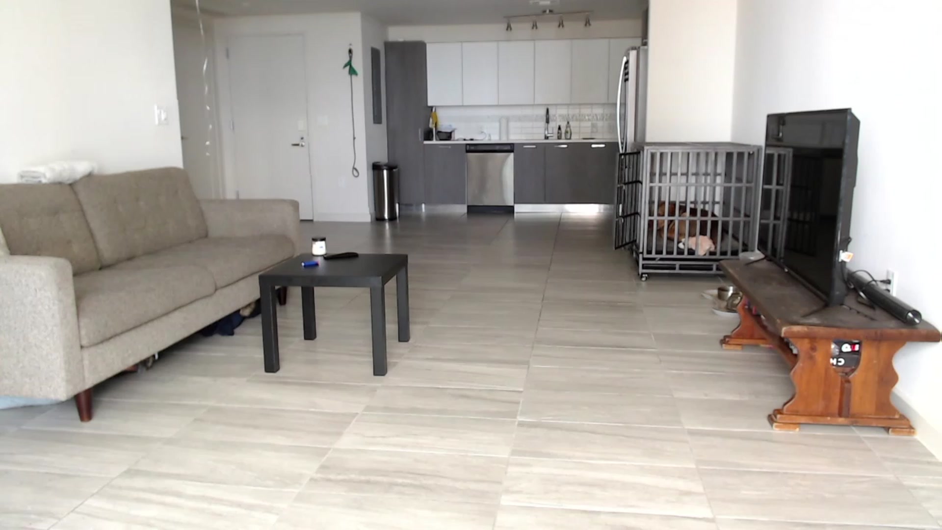 Gallery image thumbnail from highfrequency's myfreecams stream on, 02/12/2023, 17:28 image 7 of 20