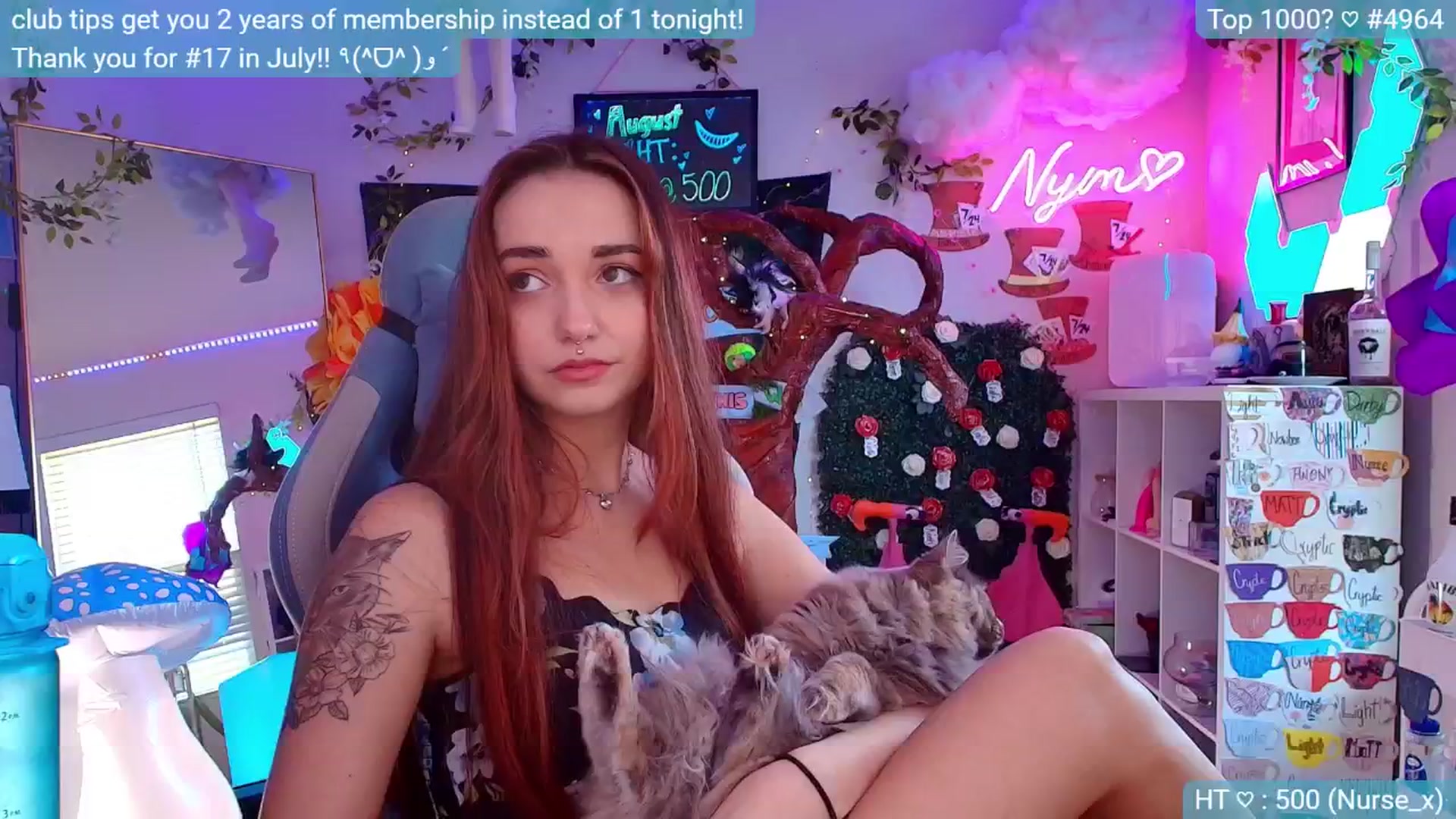 Gallery image thumbnail from hiiamtired's myfreecams stream on, 08/25/2024, 15:38 image 4 of 20