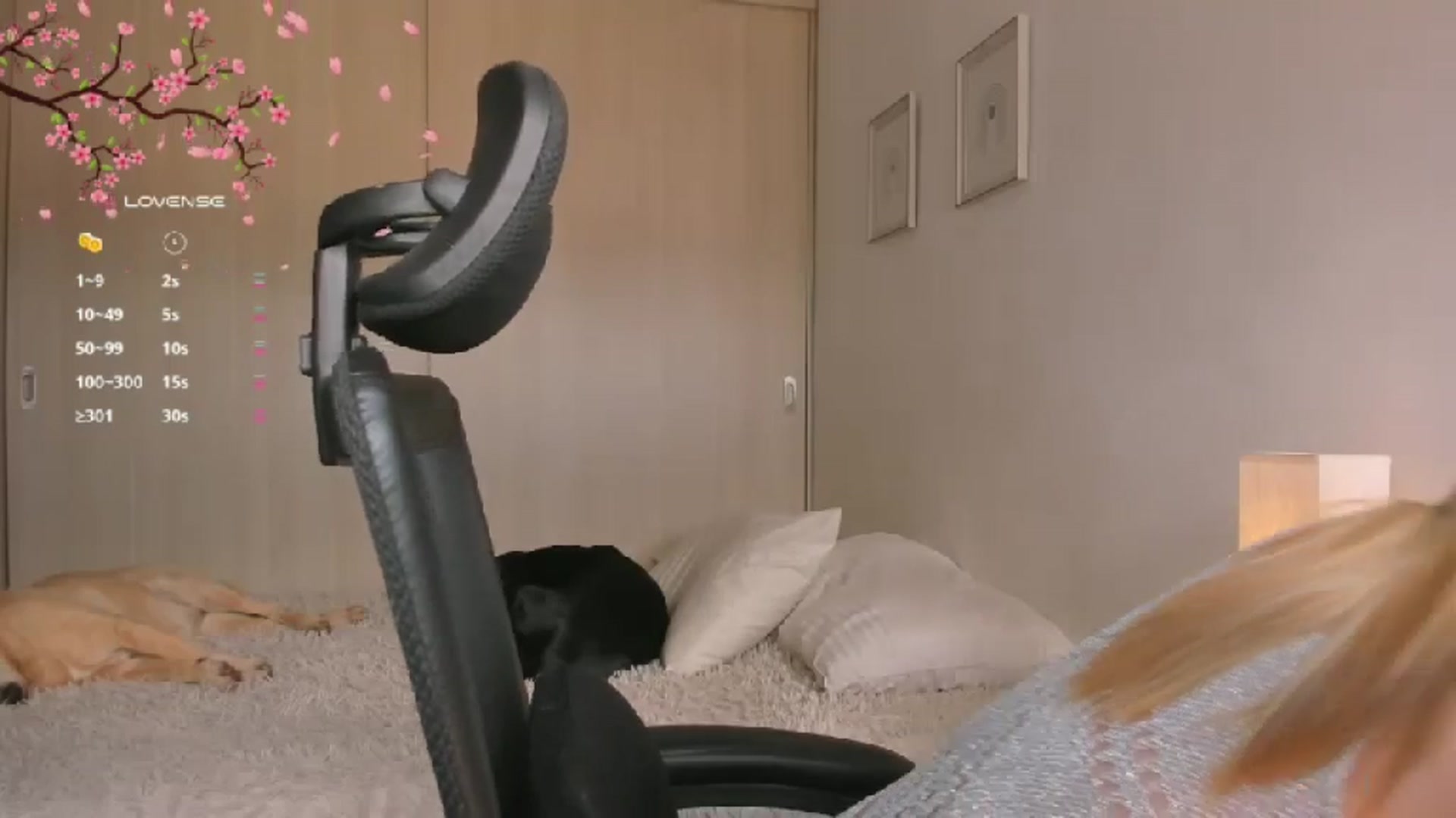 Gallery image thumbnail from holy_blonde's myfreecams stream on, 12/06/2024, 17:52 image 17 of 20