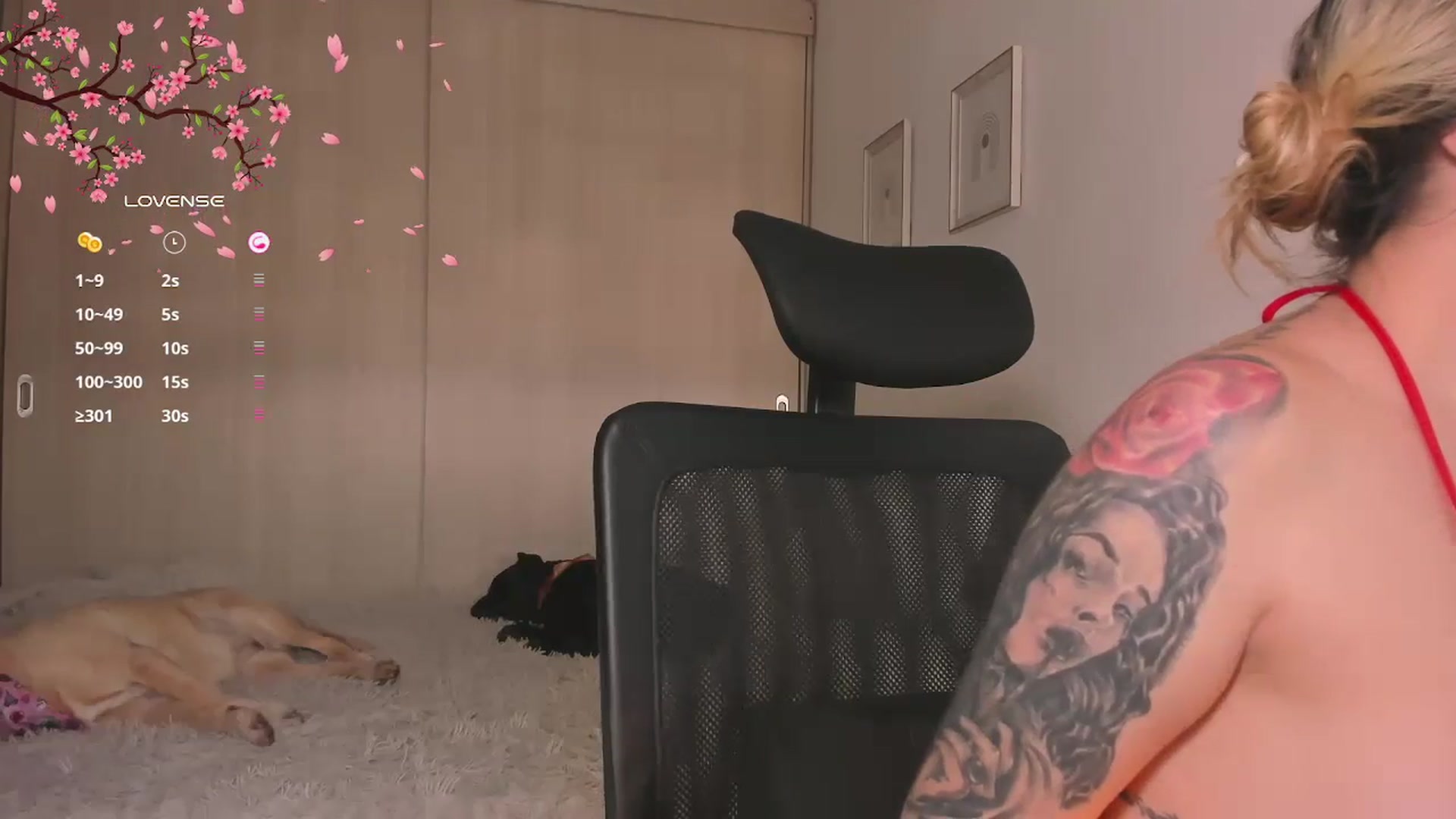 Gallery image thumbnail from holy_blonde's myfreecams stream on, 12/11/2024, 16:55 image 19 of 20