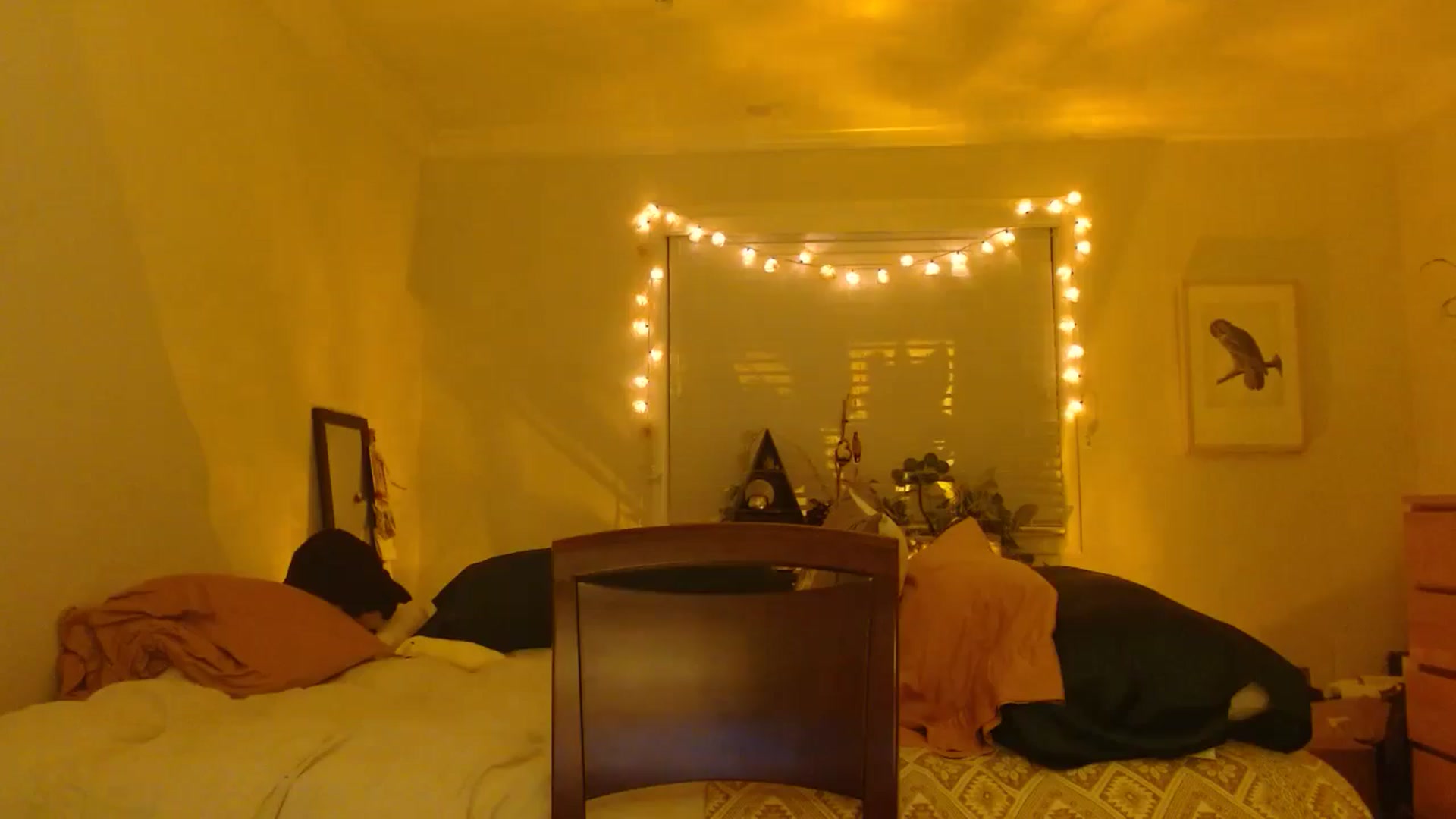 Gallery image thumbnail from honey28's myfreecams stream on, 05/15/2024, 05:45 image 9 of 20