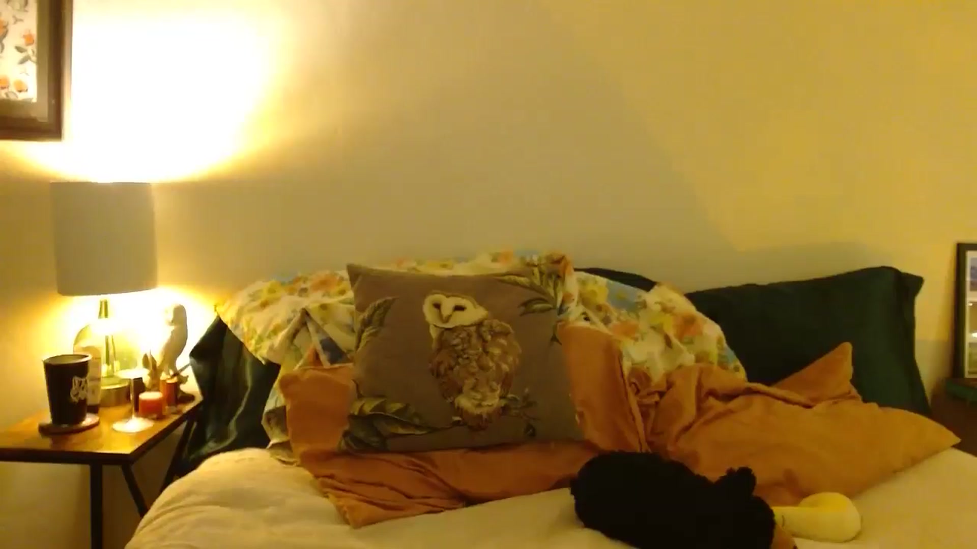 Gallery image thumbnail from honey28's myfreecams stream on, 04/28/2025, 02:58 image 8 of 20