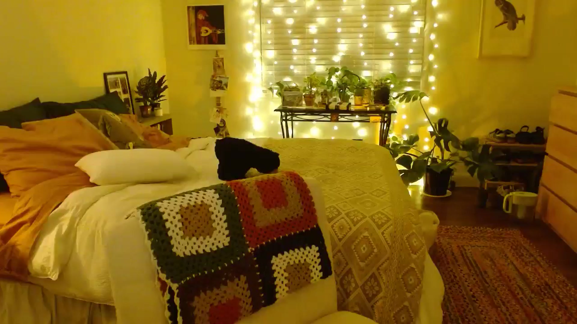Gallery image thumbnail from honey28's myfreecams stream on, 08/09/2025, 05:16 image 1 of 20