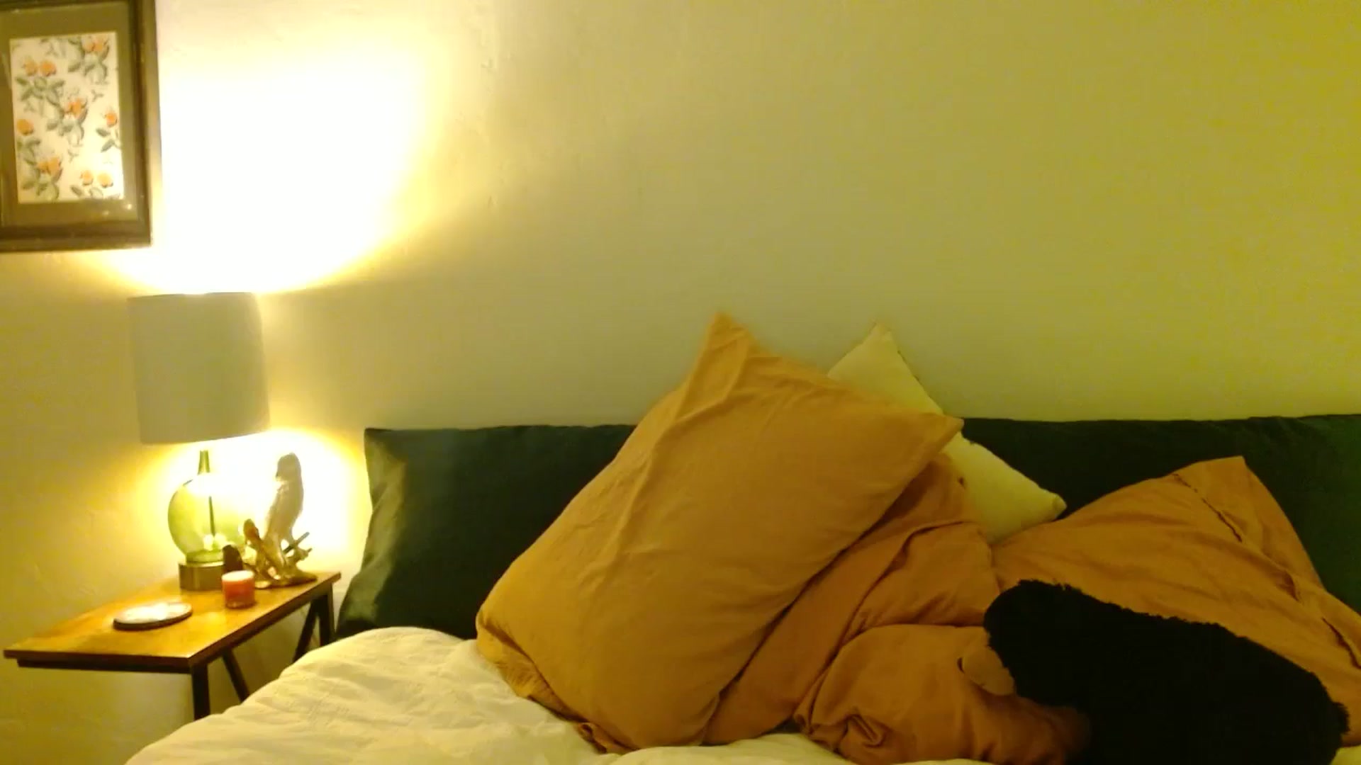 Gallery image thumbnail from honey28's myfreecams stream on, 08/15/2025, 03:33 image 3 of 20