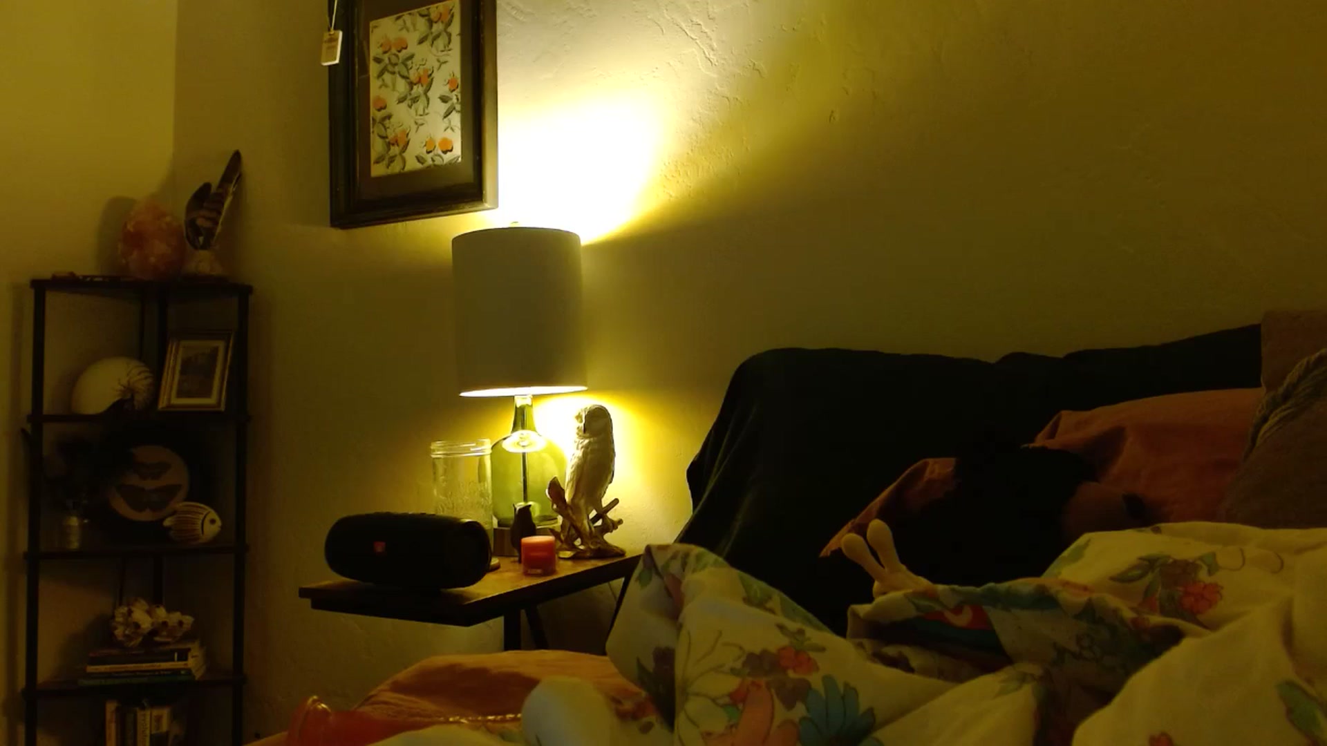 Gallery image thumbnail from honey28's myfreecams stream on, 09/04/2025, 04:26 image 14 of 20
