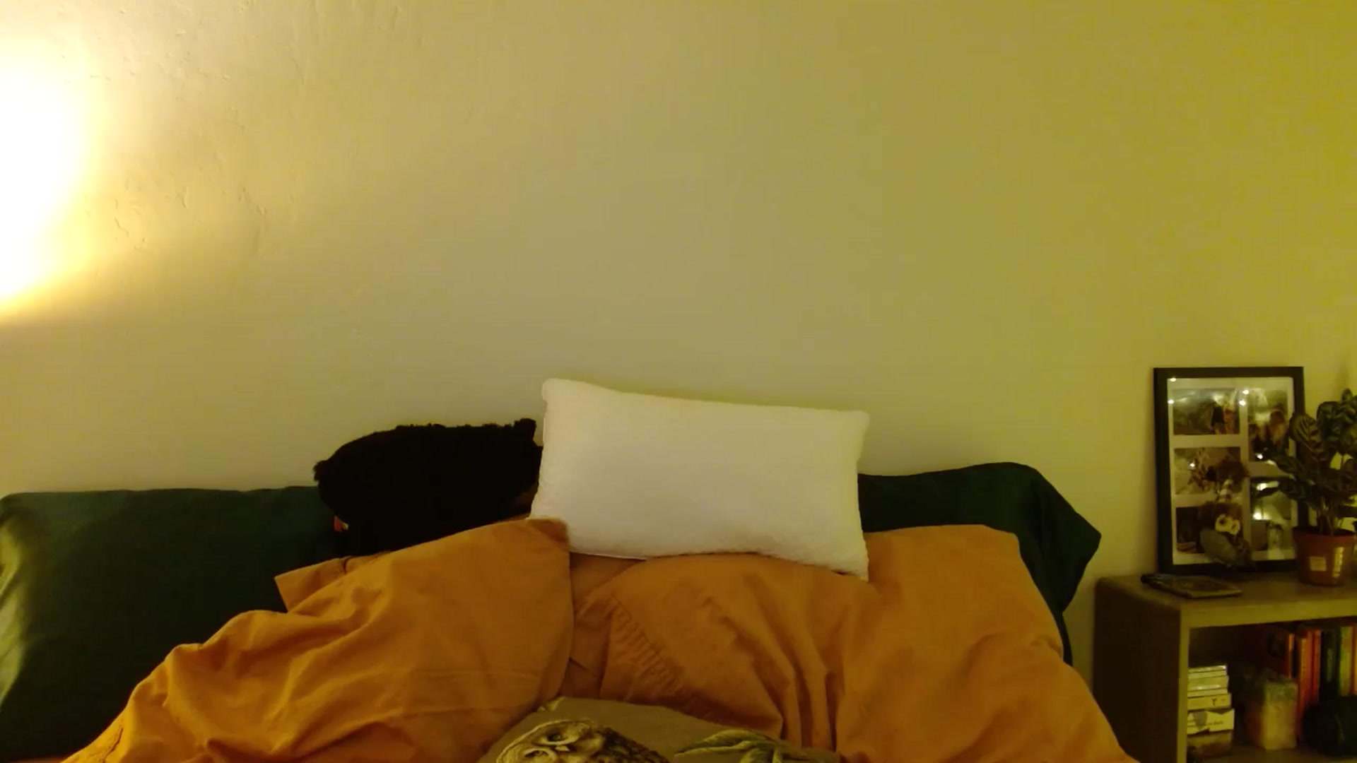 Gallery image thumbnail from honey28's myfreecams stream on, 01/03/2026, 05:06 image 17 of 20