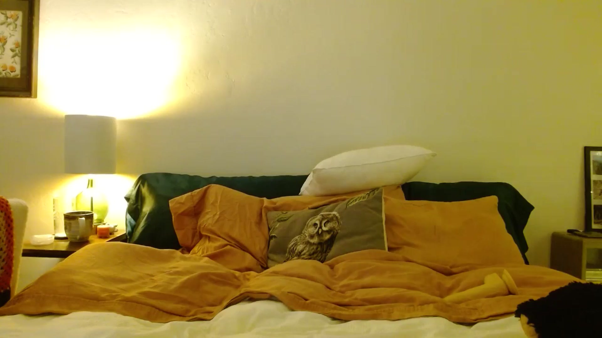 Gallery image thumbnail from honey28's myfreecams stream on, 01/08/2026, 03:24 image 16 of 20