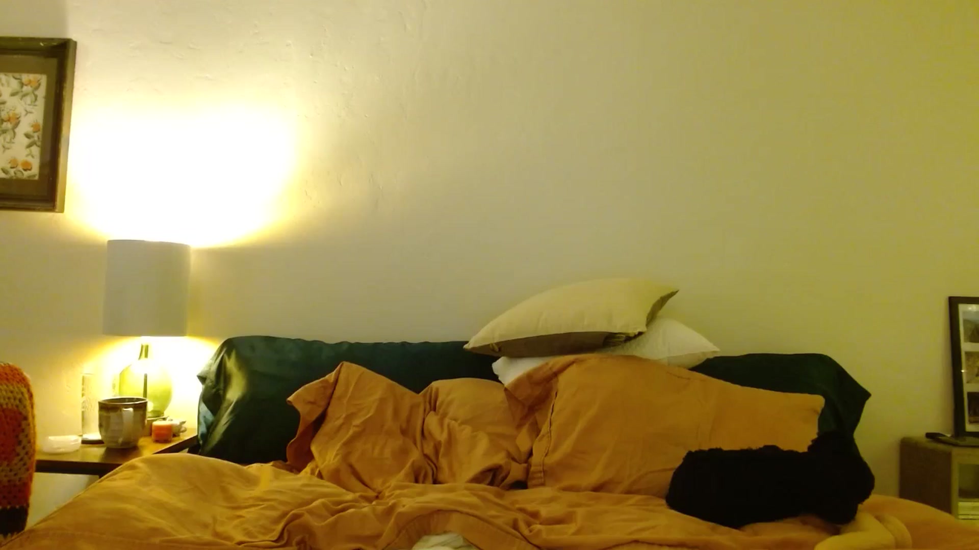 Gallery image thumbnail from honey28's myfreecams stream on, 01/08/2026, 04:22 image 20 of 20