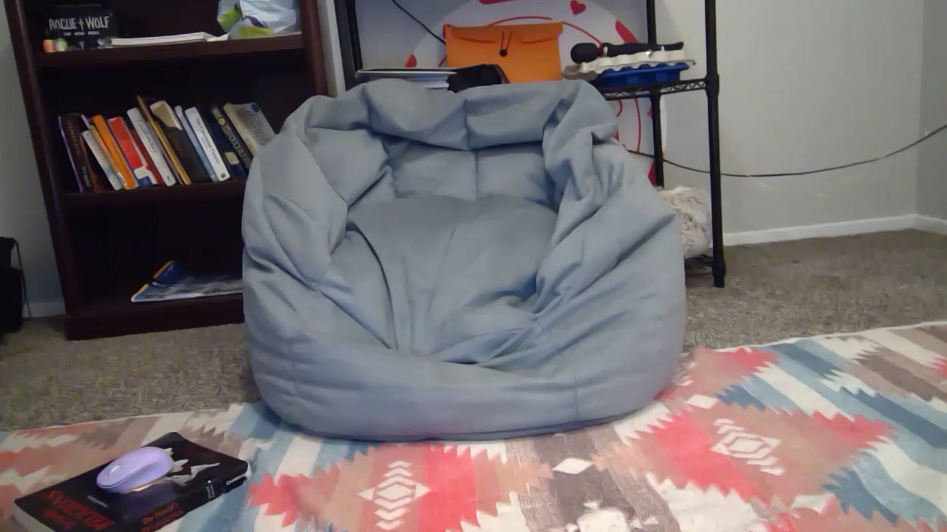 Gallery image thumbnail from hornyhippiexx's myfreecams stream on, 05/08/2023, 04:48 image 10 of 20