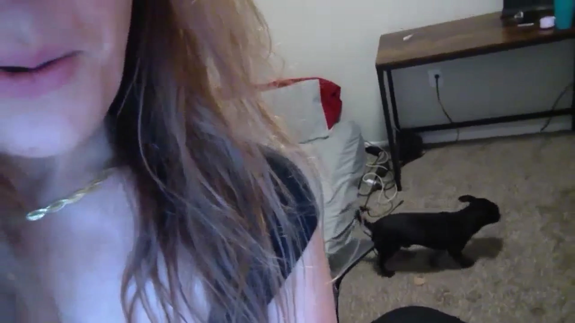 Gallery image thumbnail from hornyhippiexx's myfreecams stream on, 08/01/2023, 08:50 image 14 of 20