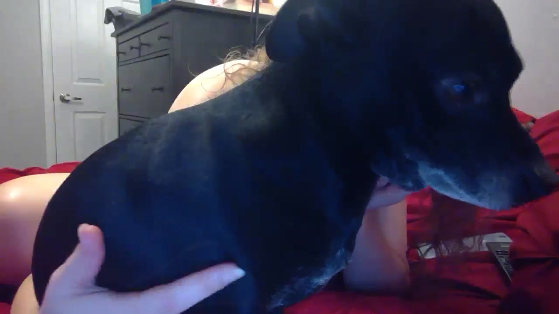 Gallery image thumbnail from hornyhippiexx's myfreecams stream on, 10/29/2023, 02:18 image 7 of 20