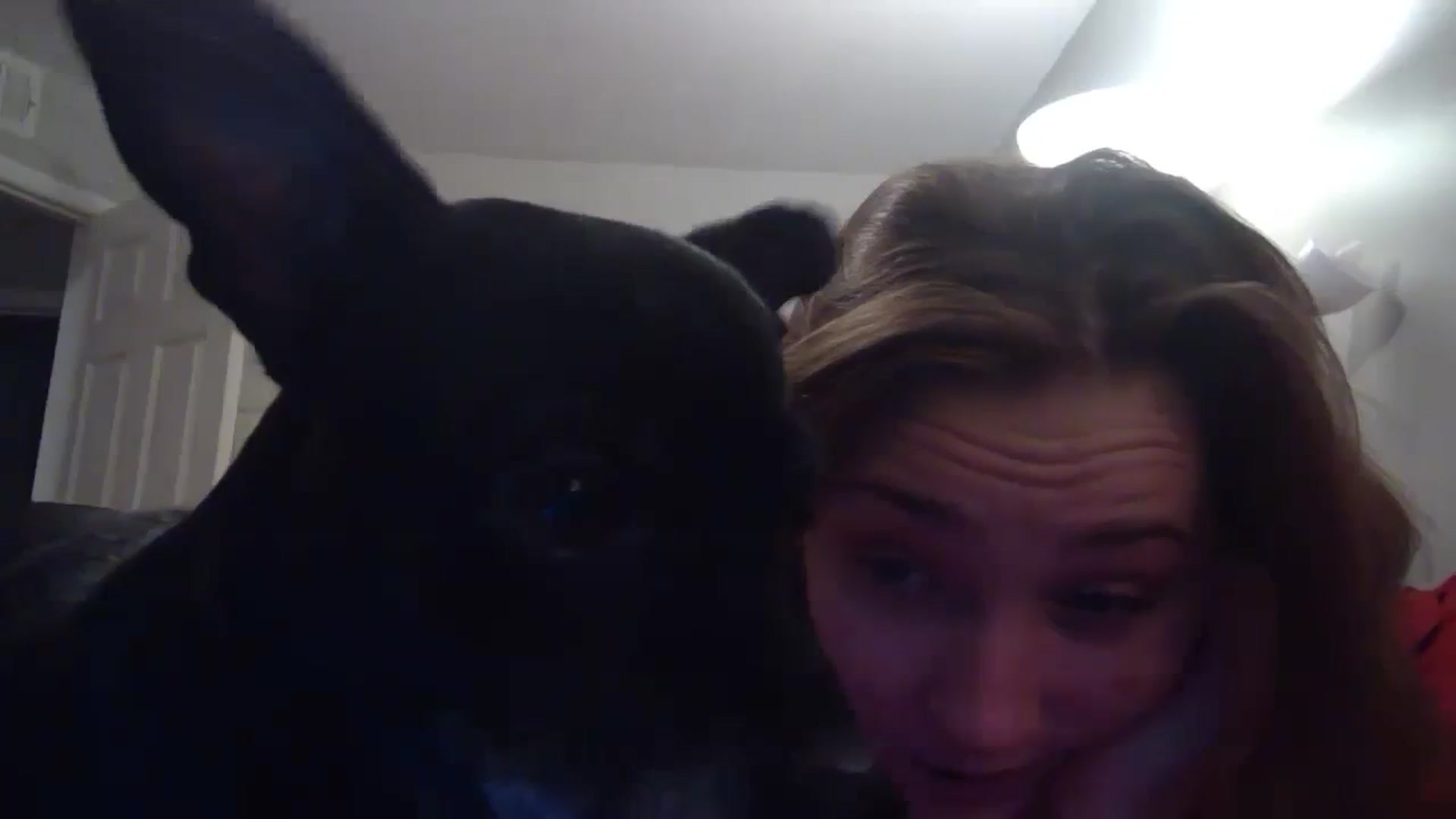 Gallery image thumbnail from hornyhippiexx's myfreecams stream on, 10/29/2023, 02:18 image 5 of 20