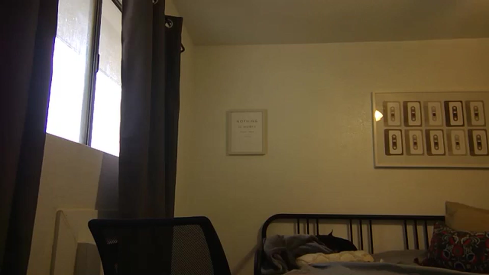 Gallery image thumbnail from hornyhippiexx's myfreecams stream on, 01/31/2024, 23:57 image 15 of 20