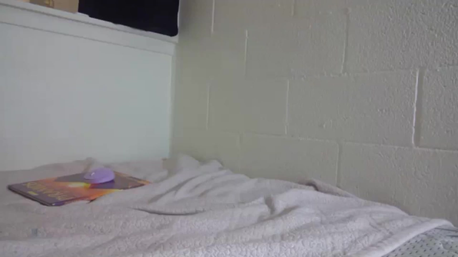 Gallery image thumbnail from hornyhippiexx's myfreecams stream on, 02/12/2024, 07:28 image 8 of 20