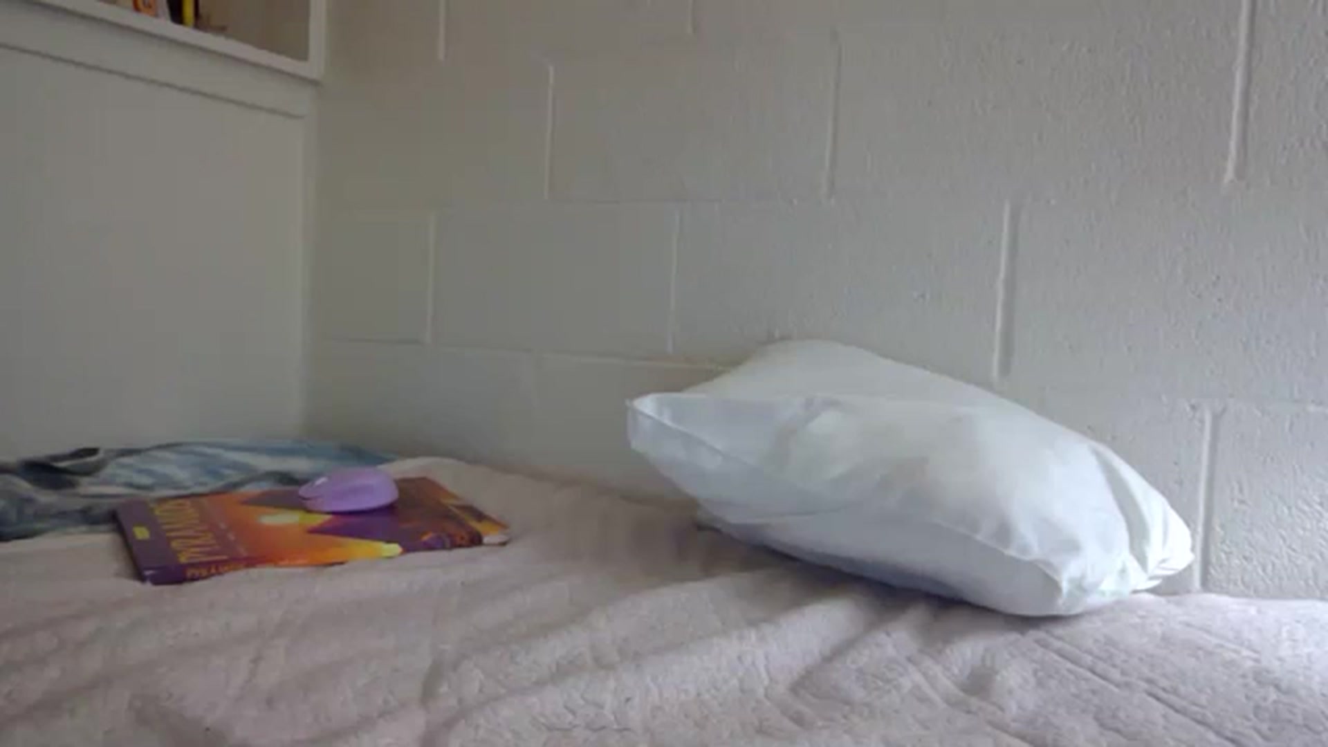 Gallery image thumbnail from hornyhippiexx's myfreecams stream on, 03/29/2024, 03:05 image 15 of 20