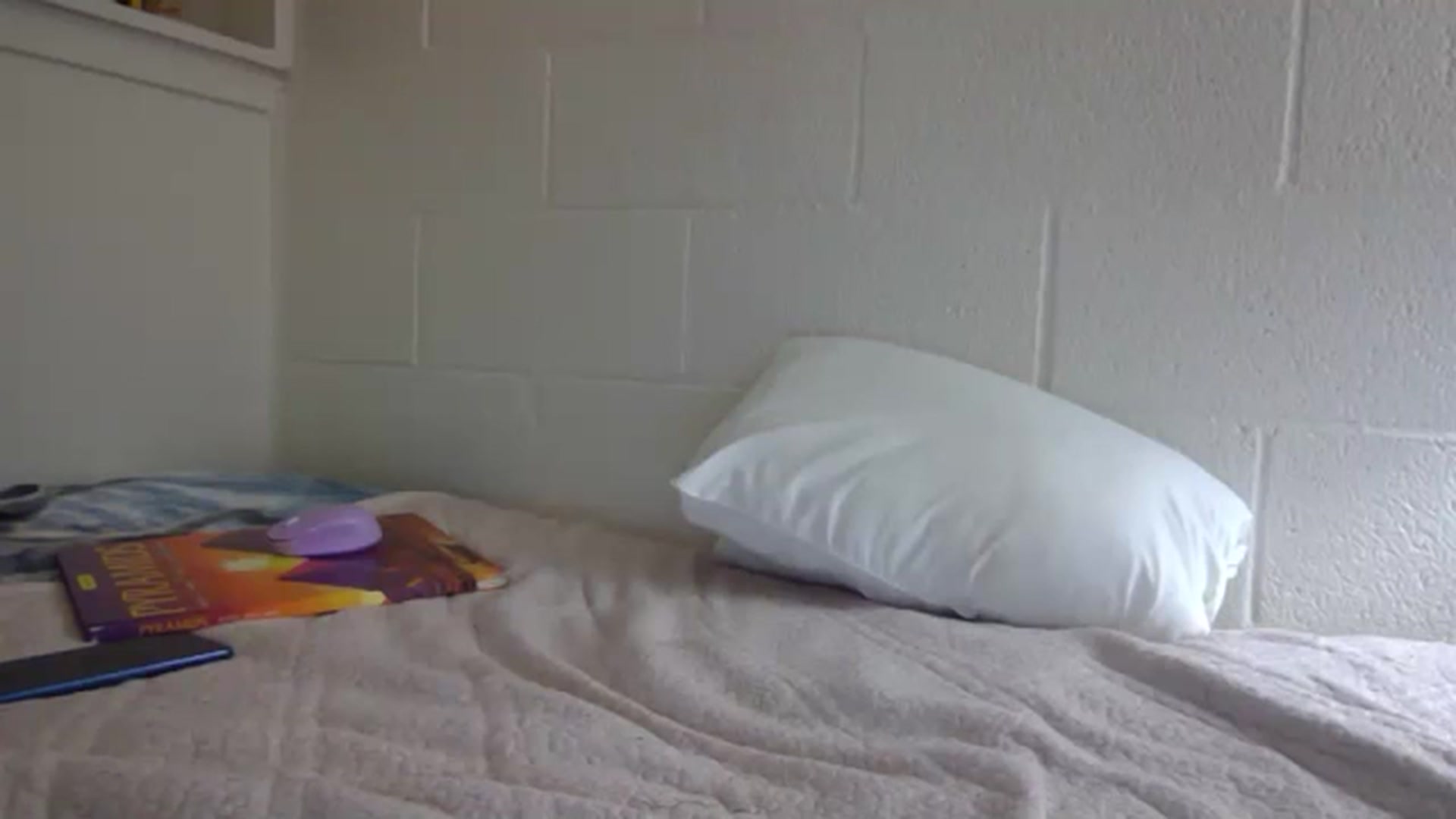 Gallery image thumbnail from hornyhippiexx's myfreecams stream on, 03/29/2024, 03:05 image 16 of 20