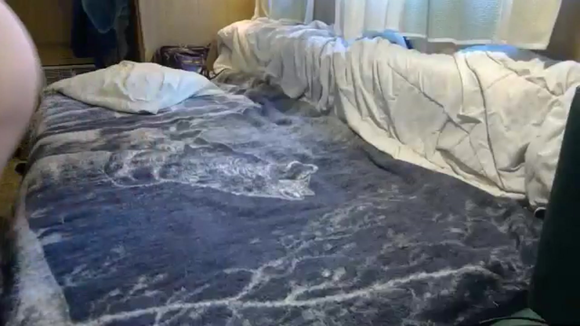 Gallery image thumbnail from hornyhippiexx's myfreecams stream on, 06/18/2024, 06:29 image 16 of 20