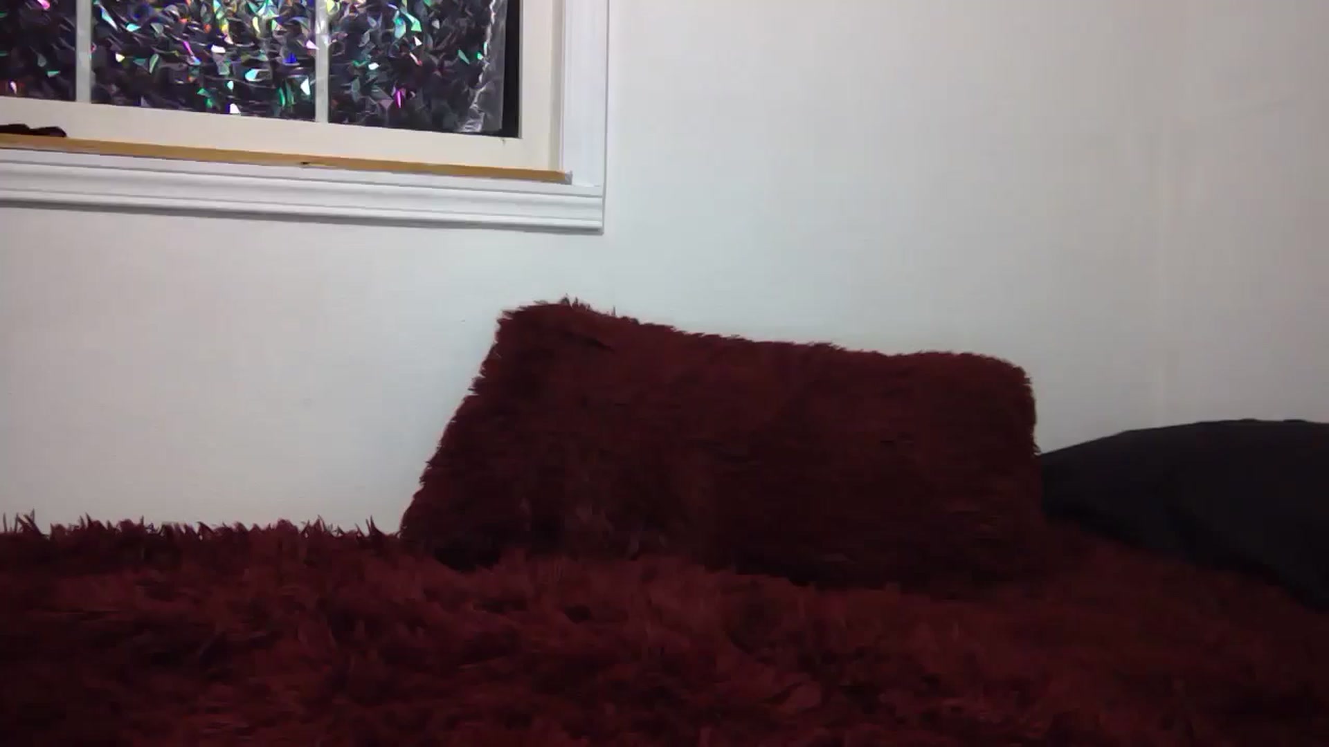 Gallery image thumbnail from hornyhippiexx's myfreecams stream on, 03/05/2025, 08:34 image 13 of 20