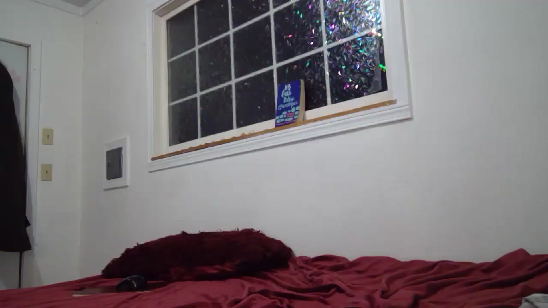 Gallery image thumbnail from hornyhippiexx's myfreecams stream on, 08/31/2025, 08:49 image 7 of 20