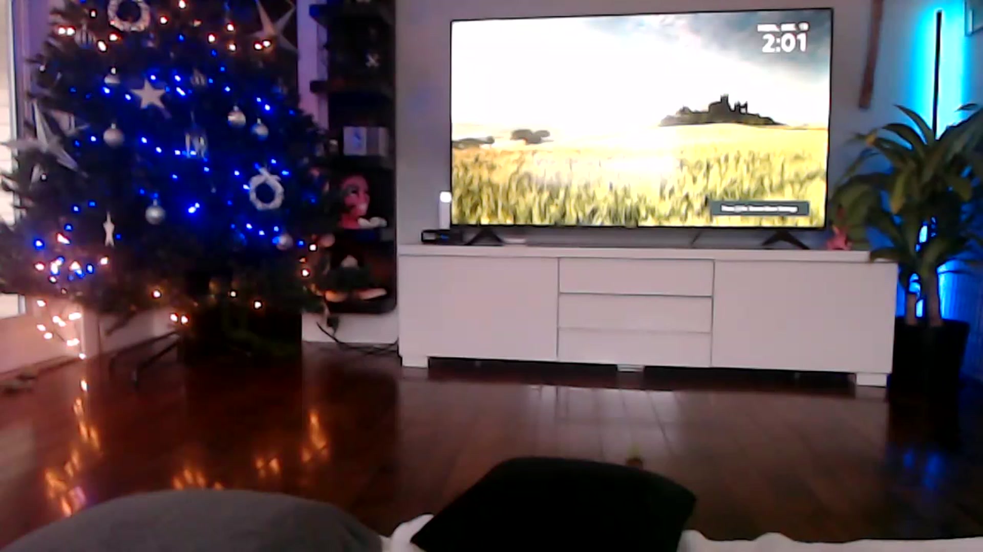 Gallery image thumbnail from hornyunicornn's myfreecams stream on, 12/19/2022, 22:12 image 13 of 20