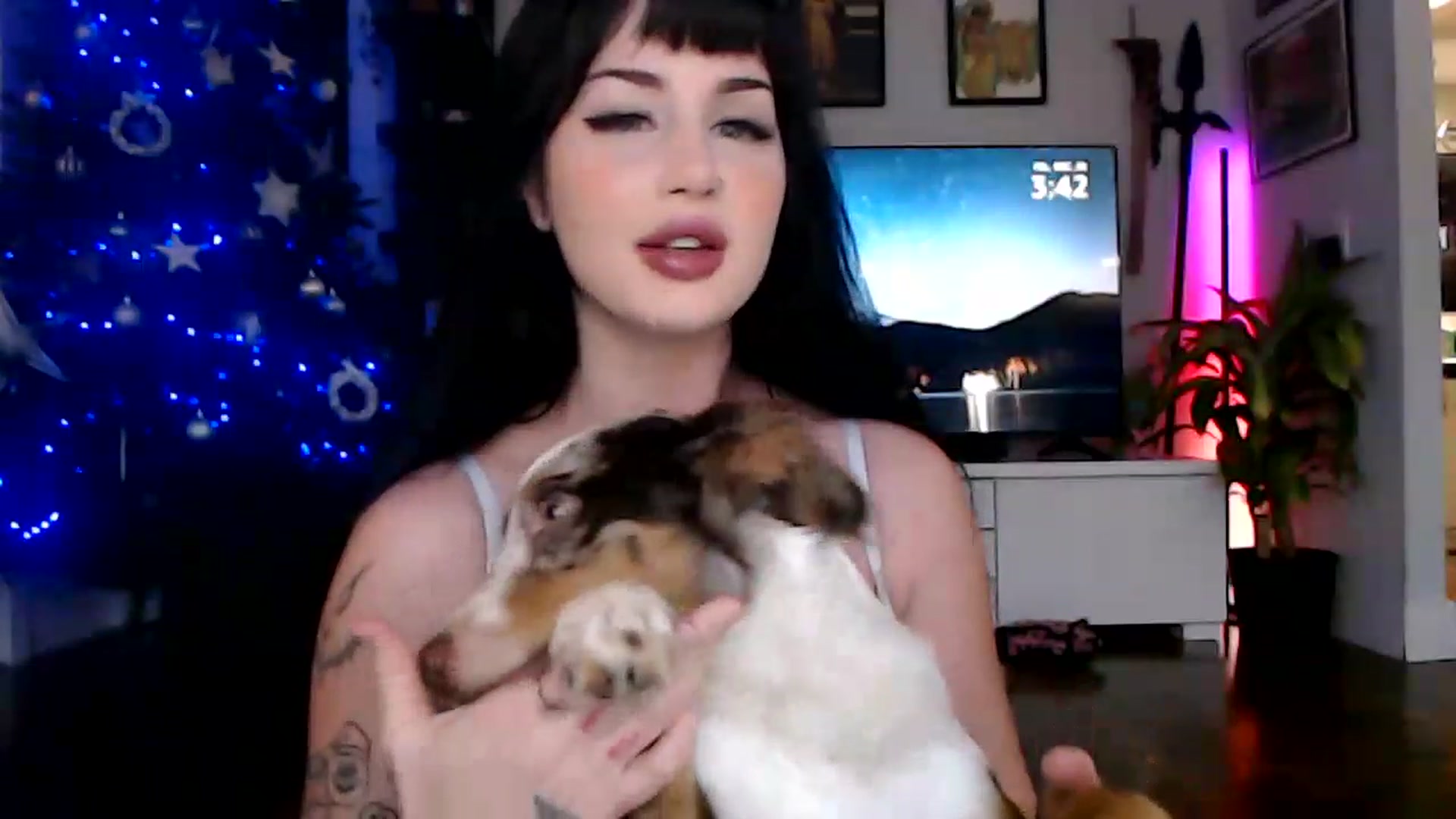 Gallery image thumbnail from hornyunicornn's myfreecams stream on, 12/30/2022, 23:55 image 8 of 20