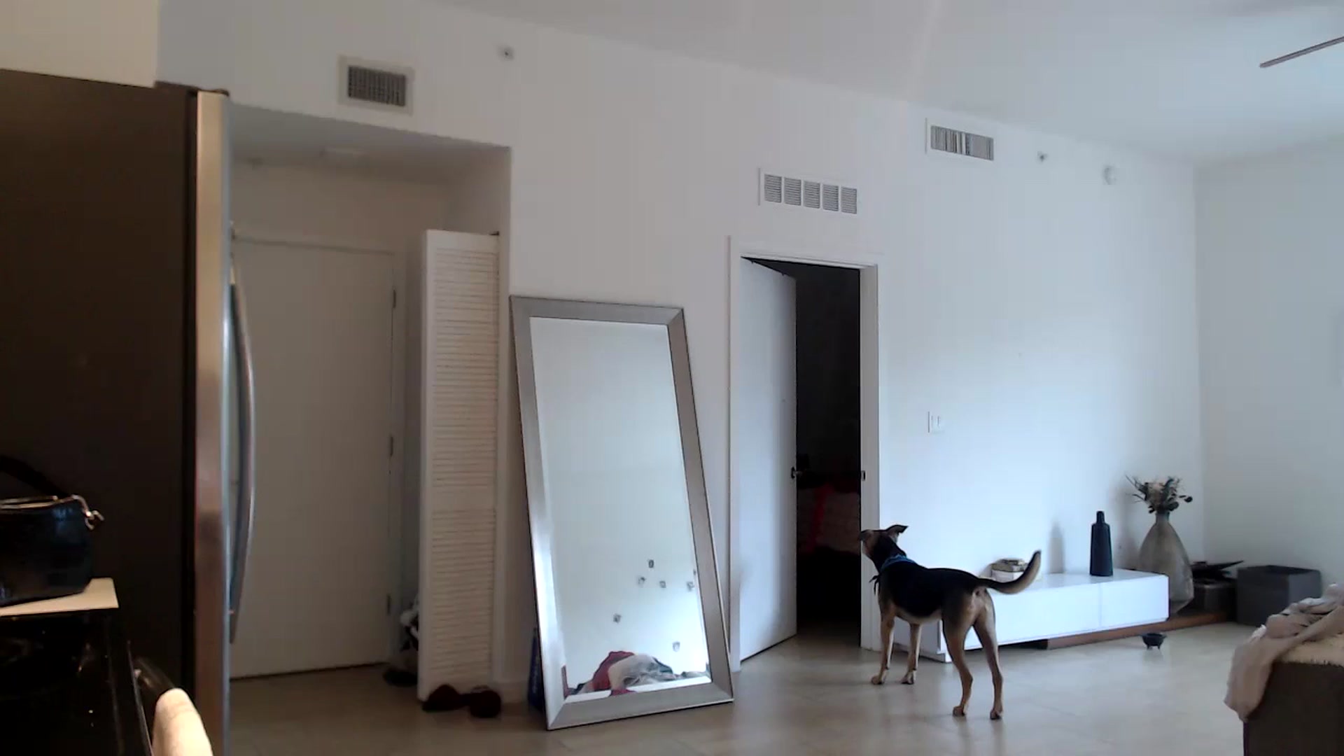 Gallery image thumbnail from hot_emo_girl's myfreecams stream on, 08/18/2024, 23:50 image 1 of 20