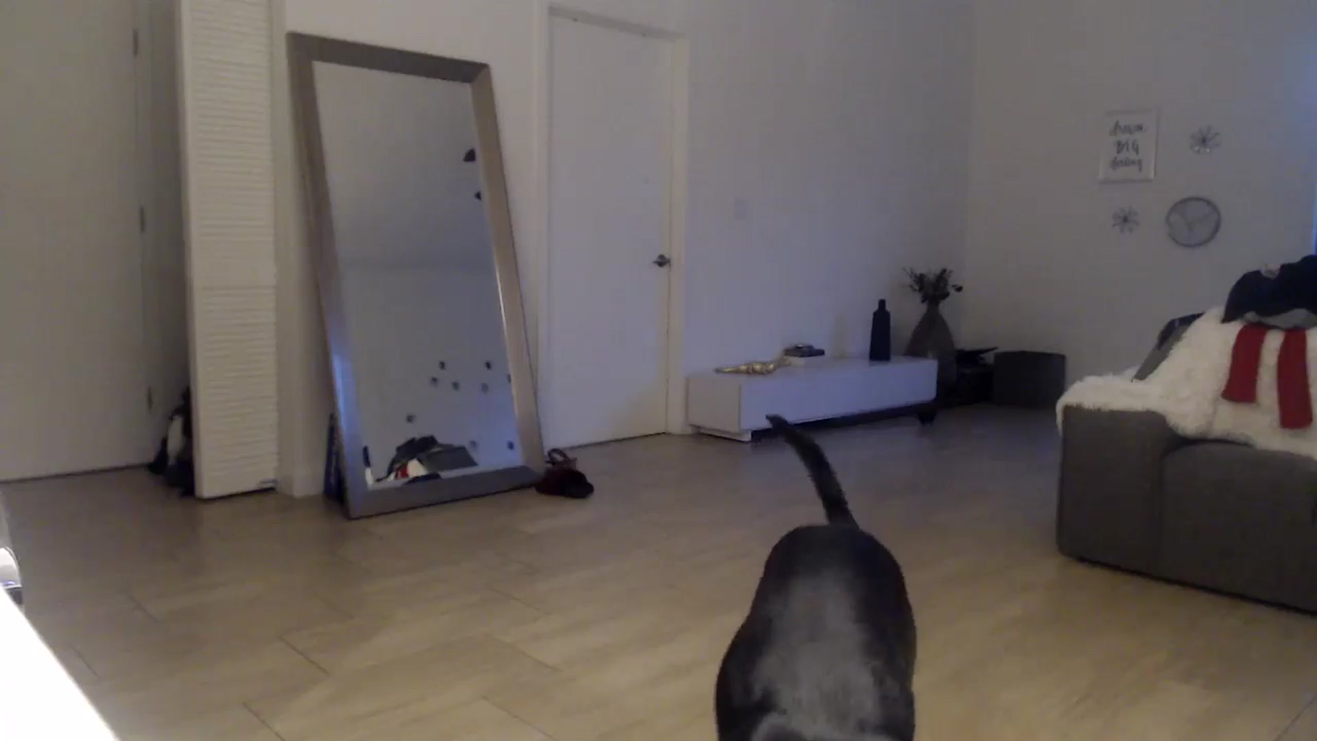 Gallery image thumbnail from hot_emo_girl's myfreecams stream on, 08/22/2024, 24:02 image 19 of 20