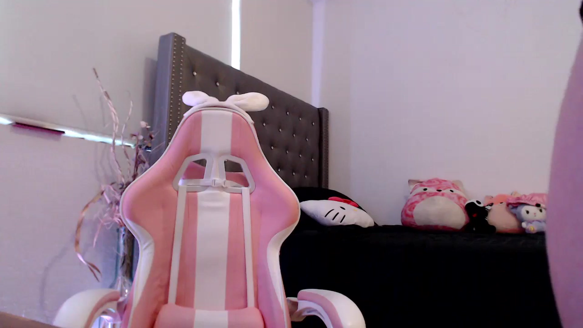Gallery image thumbnail from hot_emo_girl's myfreecams stream on, 08/24/2024, 23:20 image 16 of 20