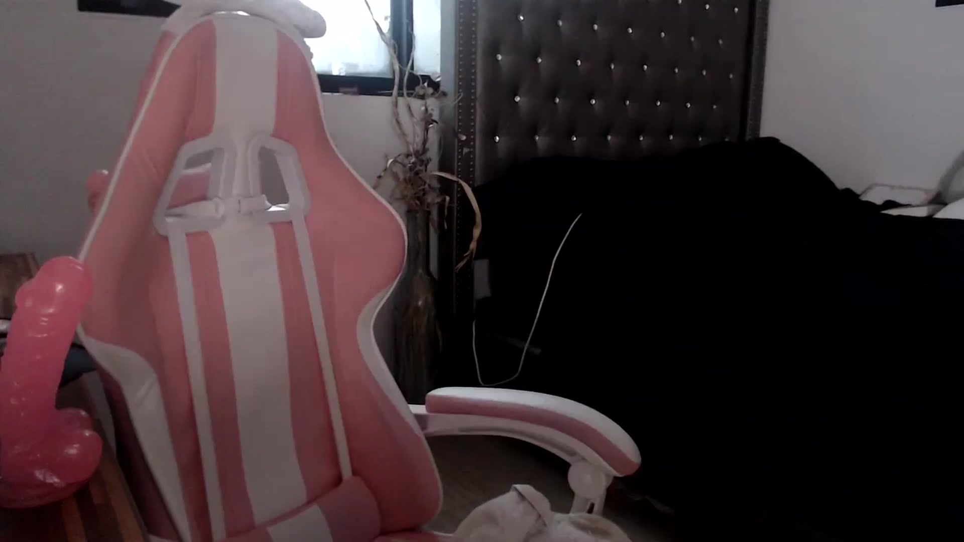 Gallery image thumbnail from hot_emo_girl's myfreecams stream on, 09/10/2024, 23:09 image 14 of 20