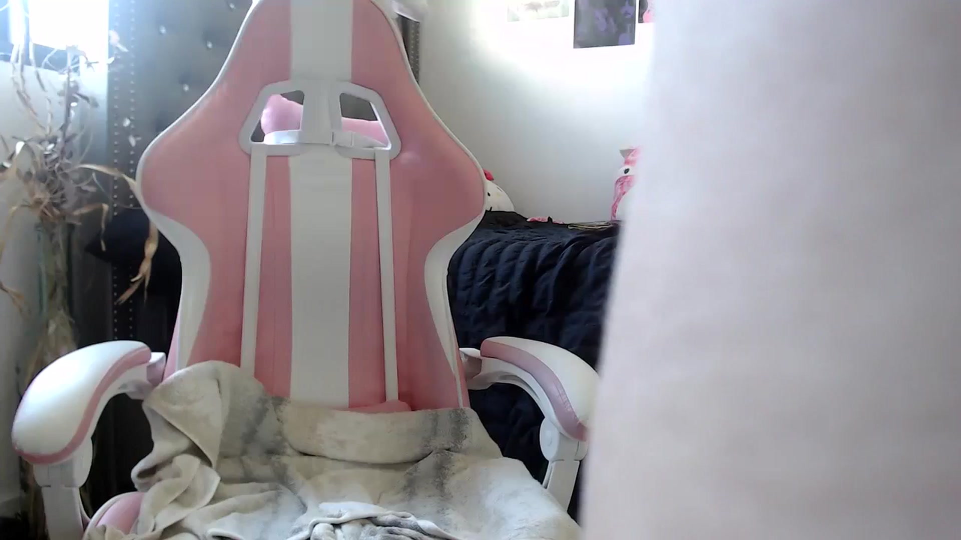 Gallery image thumbnail from hot_emo_girl's myfreecams stream on, 09/13/2024, 19:52 image 17 of 20