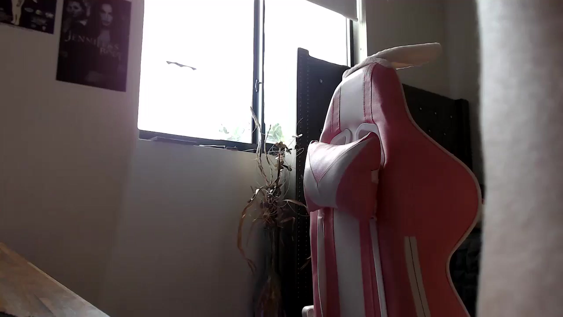 Gallery image thumbnail from hot_emo_girl's myfreecams stream on, 09/15/2024, 22:41 image 9 of 20