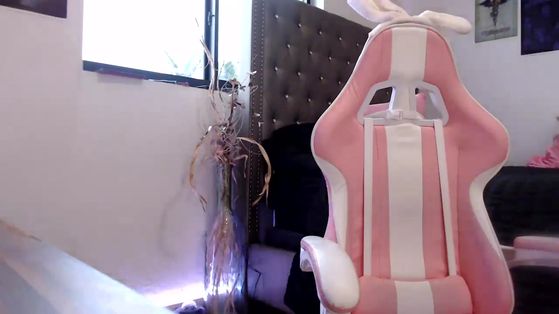 Gallery image thumbnail from hot_emo_girl's myfreecams stream on, 09/15/2024, 23:22 image 16 of 20