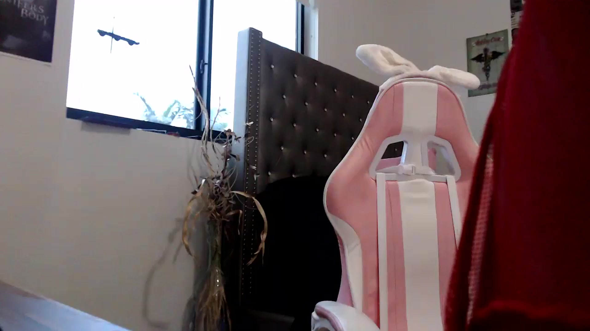Gallery image thumbnail from hot_emo_girl's myfreecams stream on, 09/15/2024, 23:22 image 19 of 20