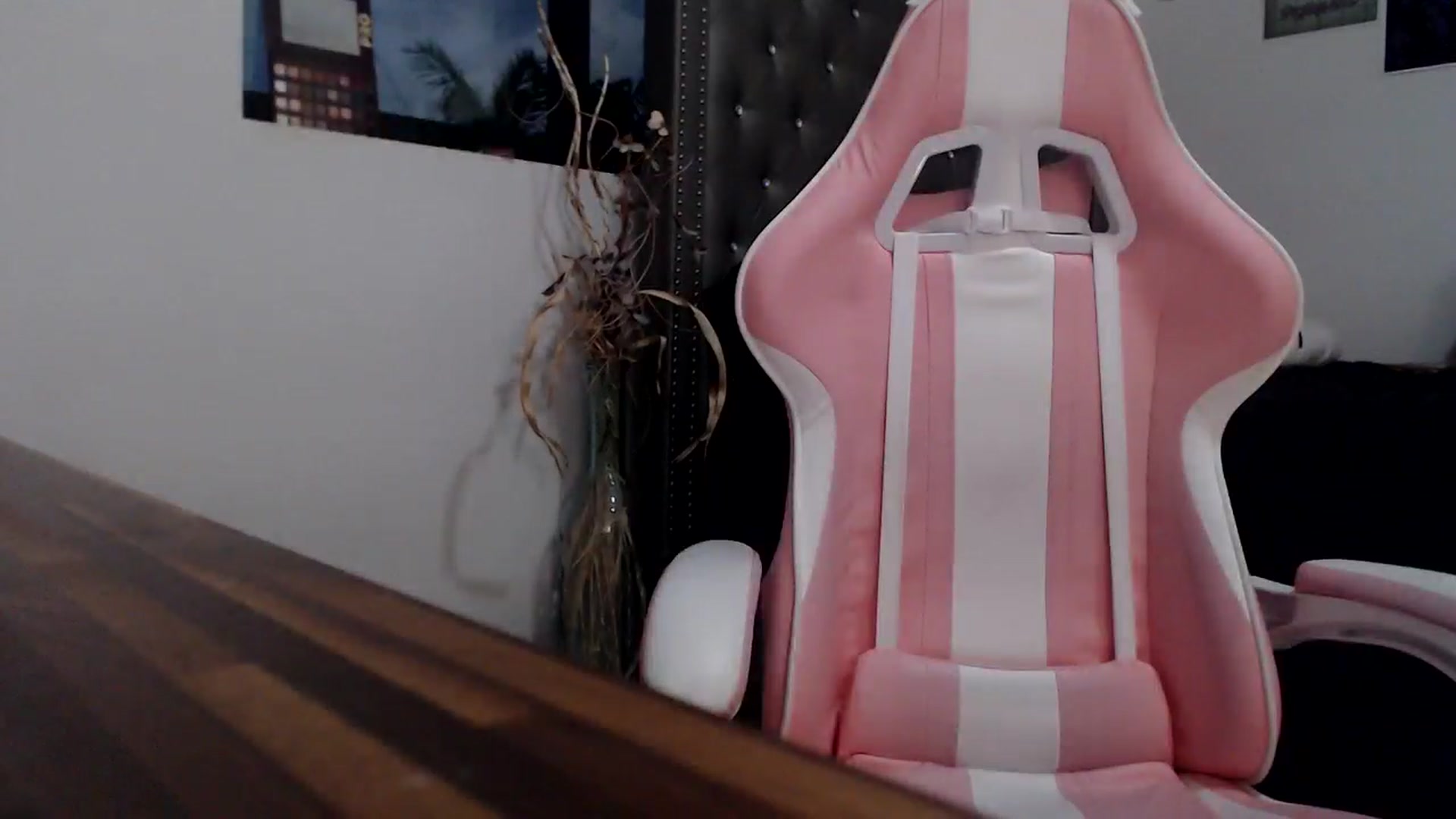Gallery image thumbnail from hot_emo_girl's myfreecams stream on, 09/18/2024, 24:01 image 11 of 20