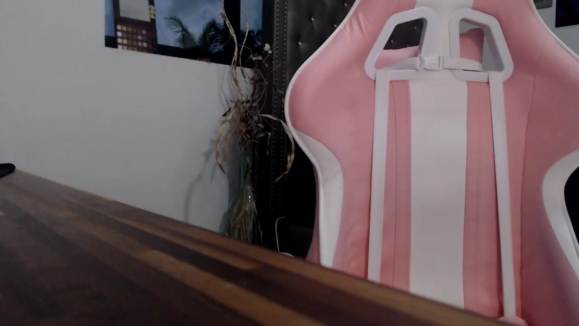 Gallery image thumbnail from hot_emo_girl's myfreecams stream on, 09/18/2024, 24:01 image 10 of 20
