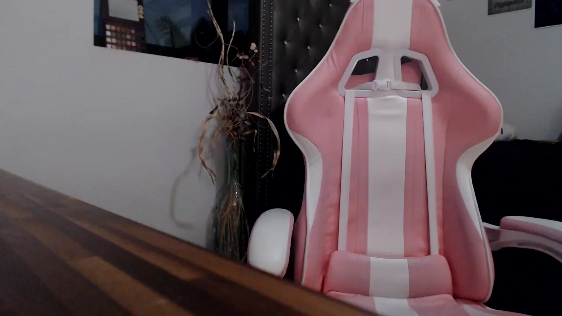 Gallery image thumbnail from hot_emo_girl's myfreecams stream on, 09/18/2024, 24:01 image 13 of 20