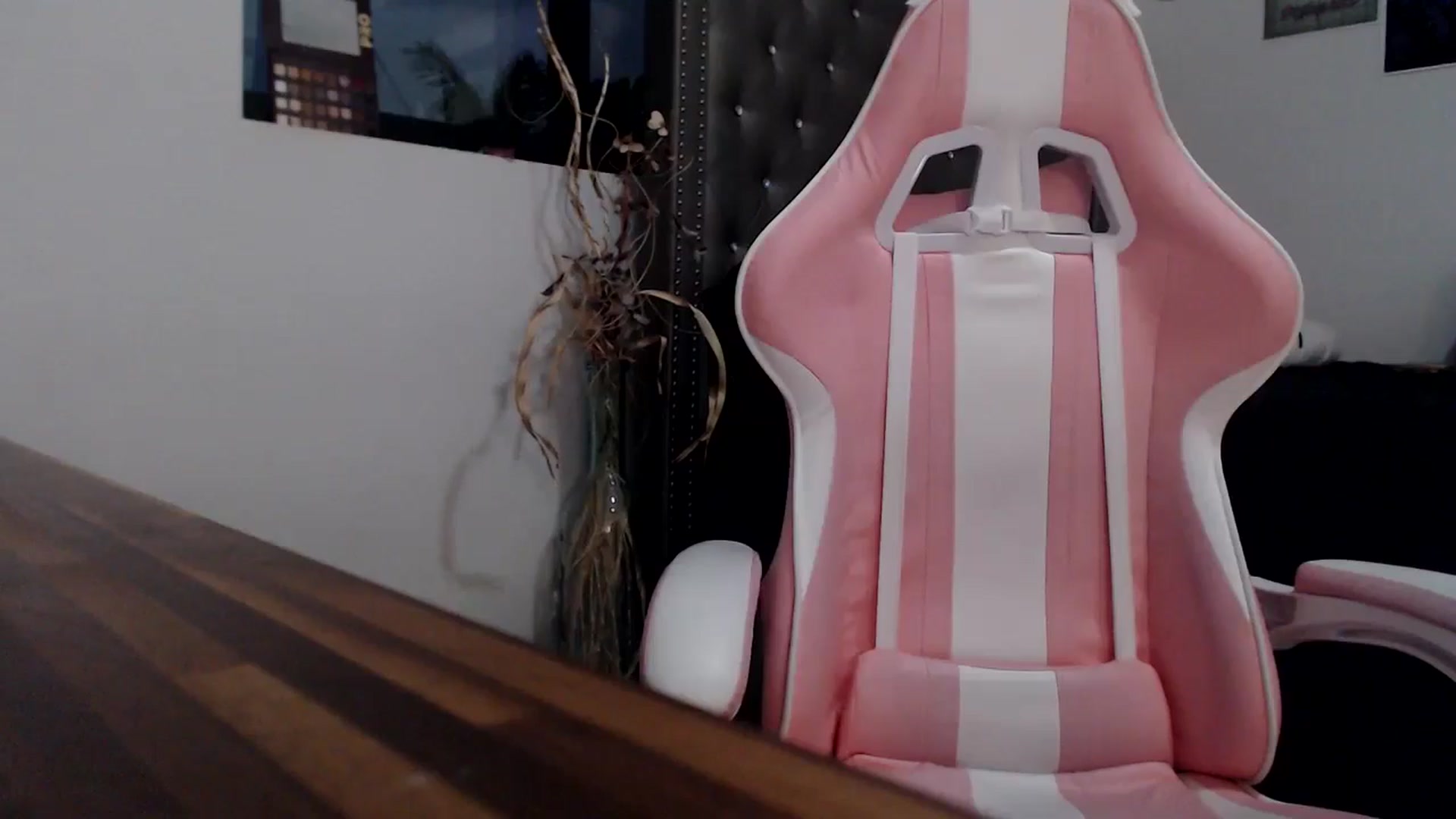 Gallery image thumbnail from hot_emo_girl's myfreecams stream on, 09/18/2024, 24:01 image 12 of 20