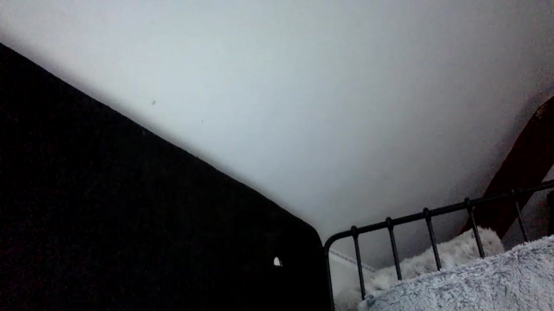 Gallery image thumbnail from hotbaby08's myfreecams stream on, 06/15/2023, 07:11 image 12 of 20