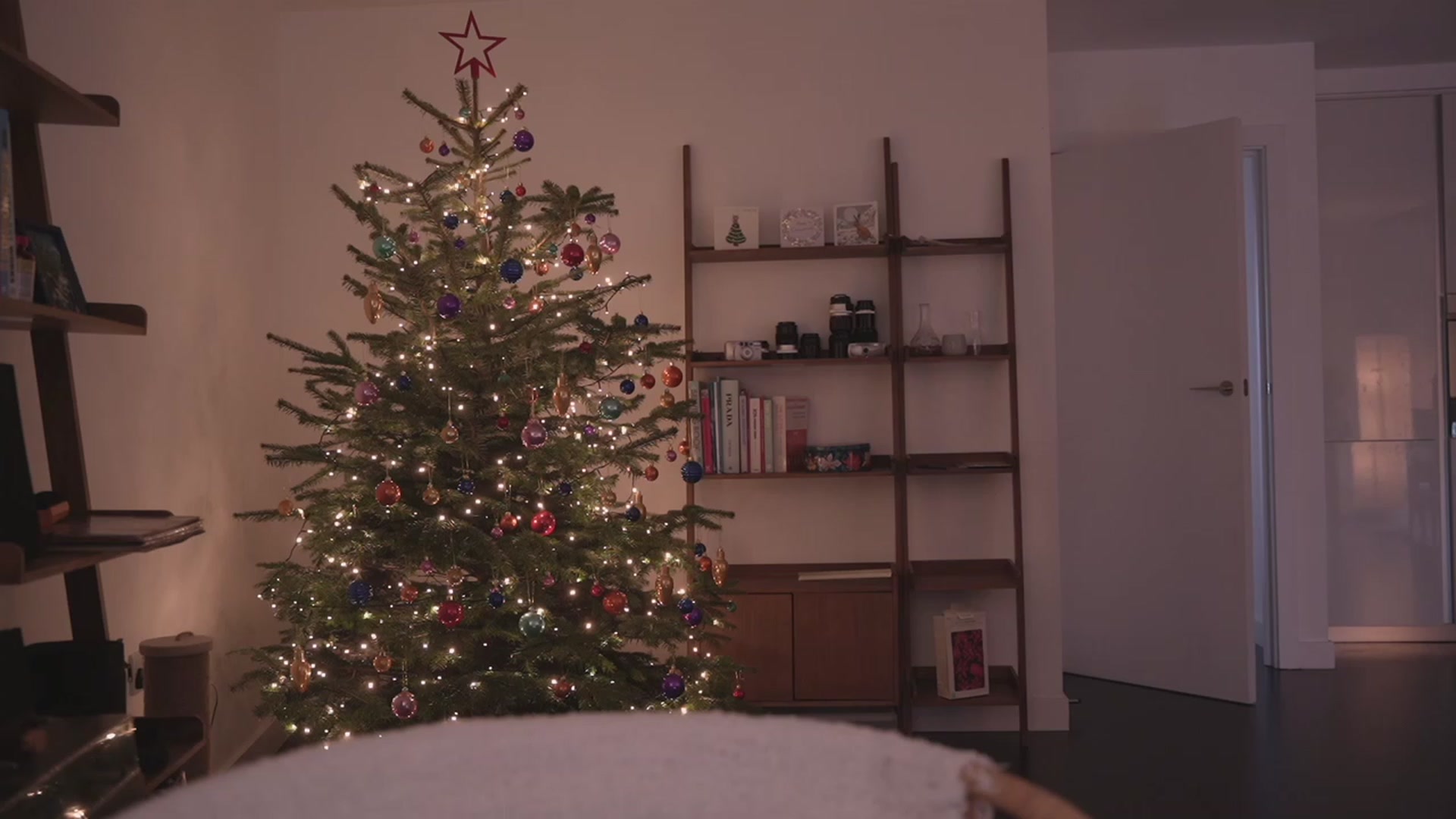 Gallery image thumbnail from https_sophie's myfreecams stream on, 12/25/2022, 12:30 image 5 of 20