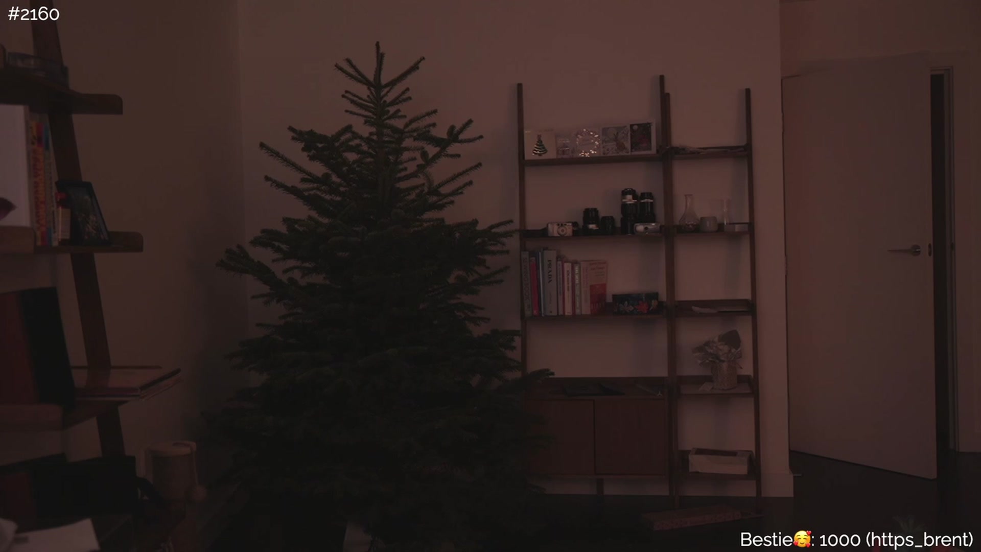 Gallery image thumbnail from https_sophie's myfreecams stream on, 01/08/2023, 02:57 image 14 of 20