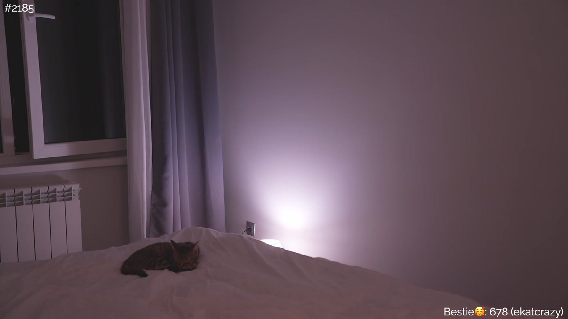 Gallery image thumbnail from https_sophie's myfreecams stream on, 09/08/2023, 23:29 image 17 of 20