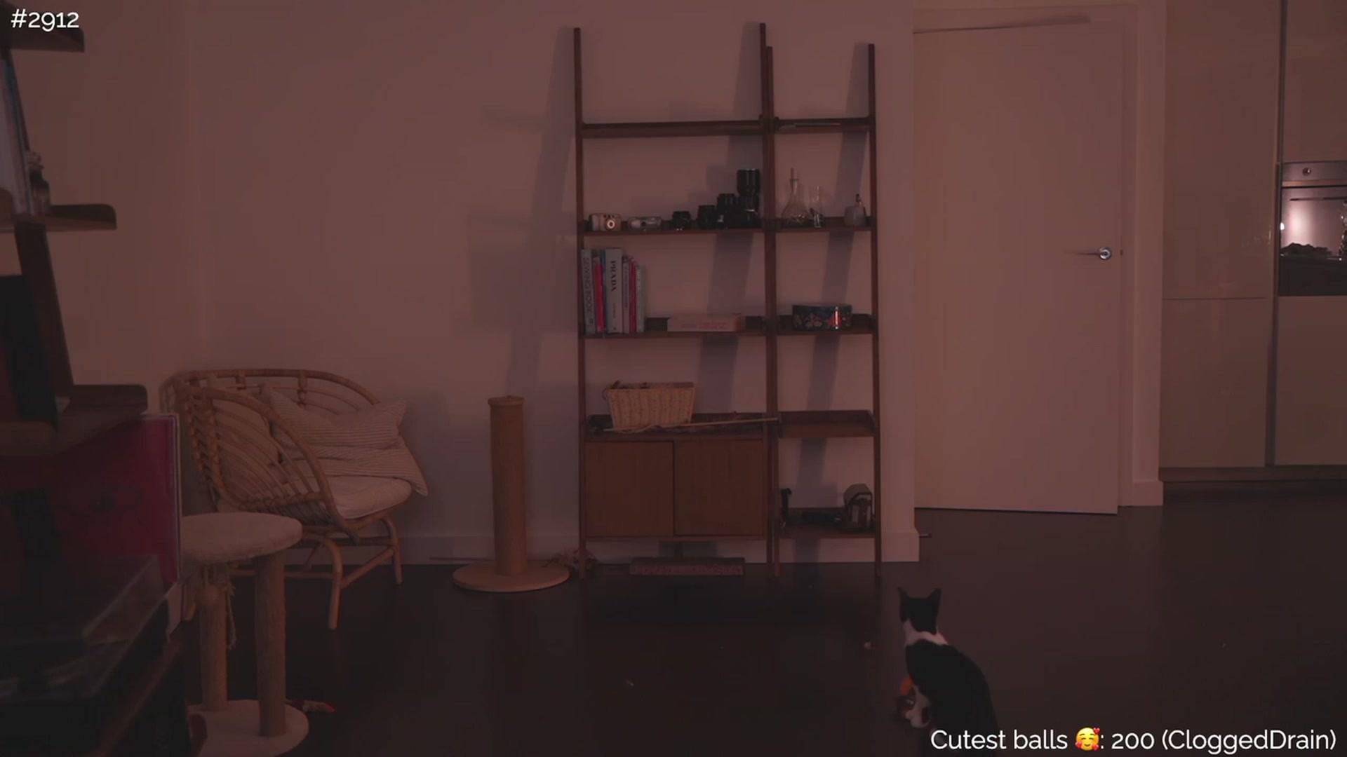 Gallery image thumbnail from https_sophie's myfreecams stream on, 10/19/2023, 24:59 image 13 of 20