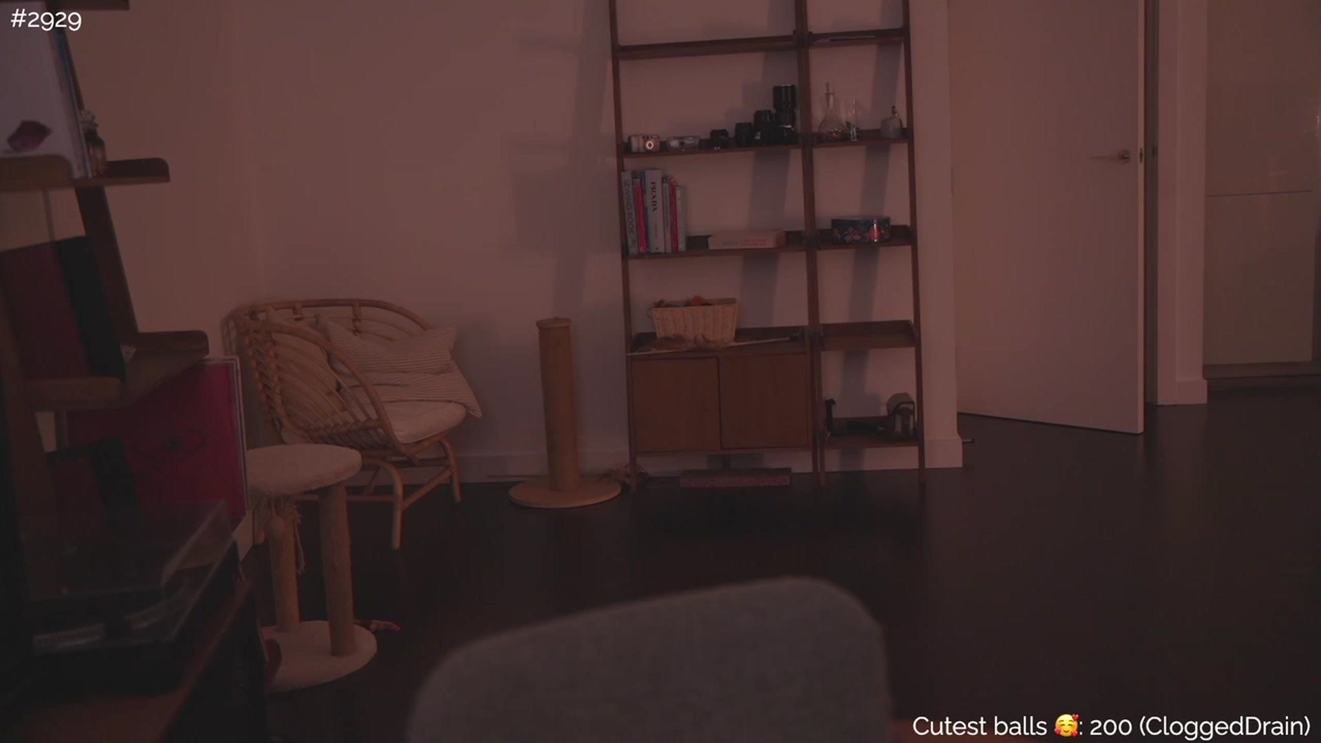 Gallery image thumbnail from https_sophie's myfreecams stream on, 10/19/2023, 24:59 image 5 of 20