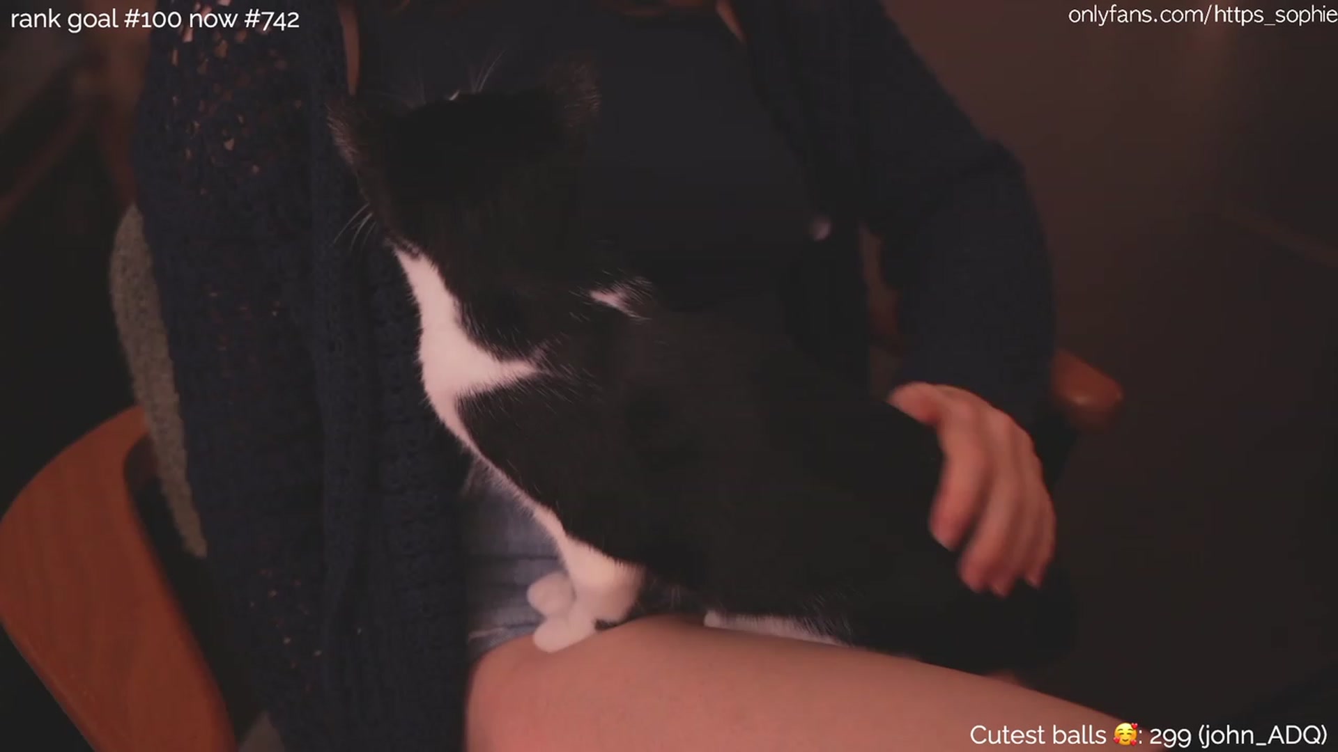 Gallery image thumbnail from https_sophie's myfreecams stream on, 12/11/2023, 02:24 image 12 of 20