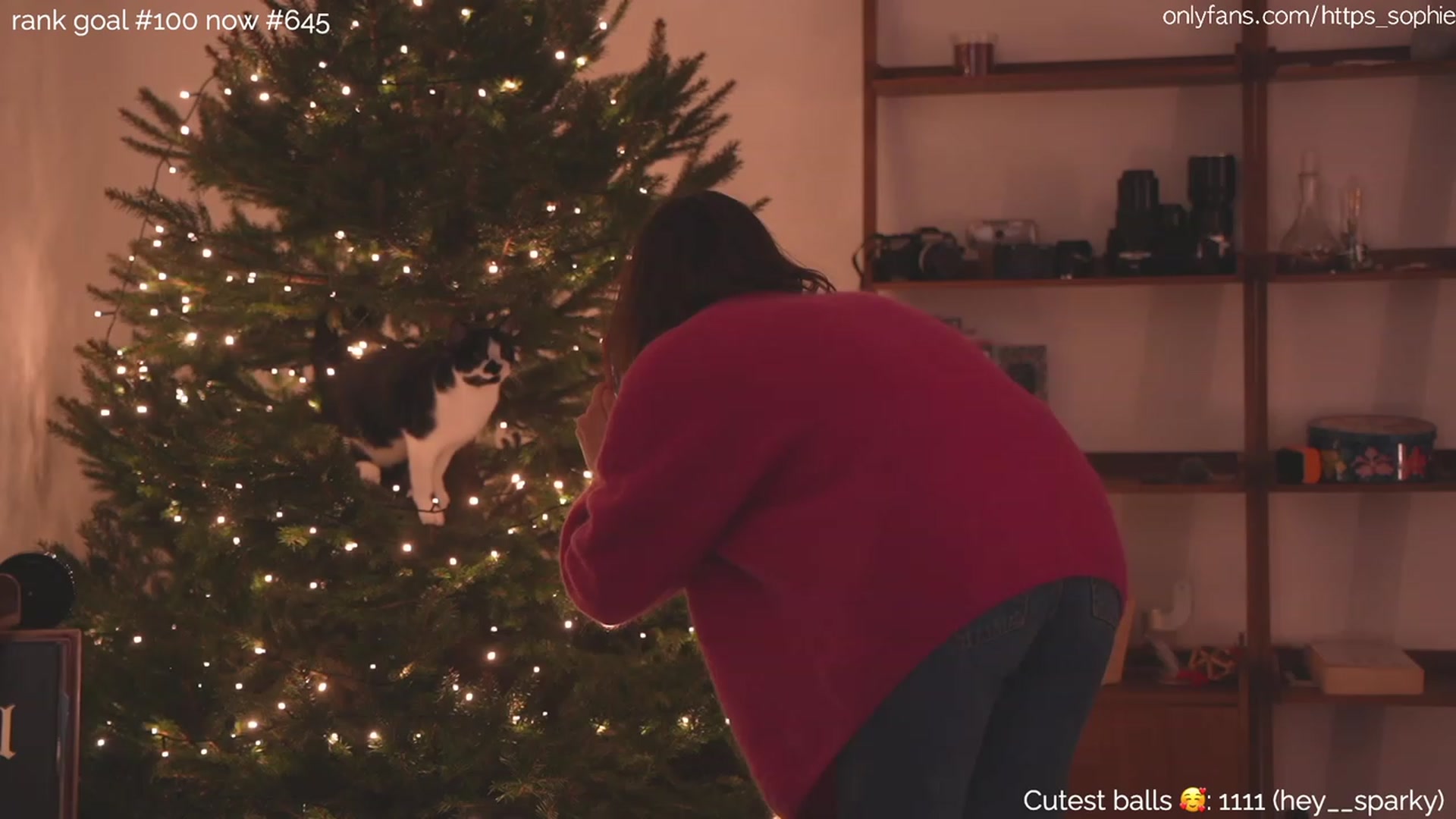 Gallery image thumbnail from https_sophie's myfreecams stream on, 12/22/2023, 01:58 image 7 of 20