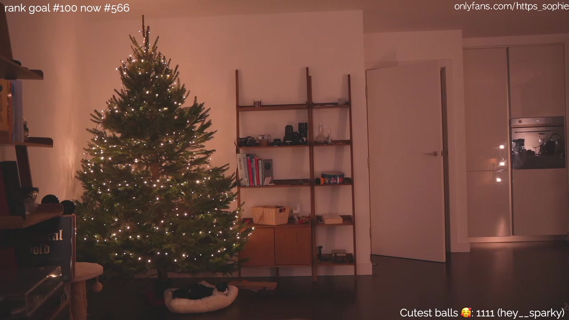 Gallery image thumbnail from https_sophie's myfreecams stream on, 12/22/2023, 02:56 image 18 of 20
