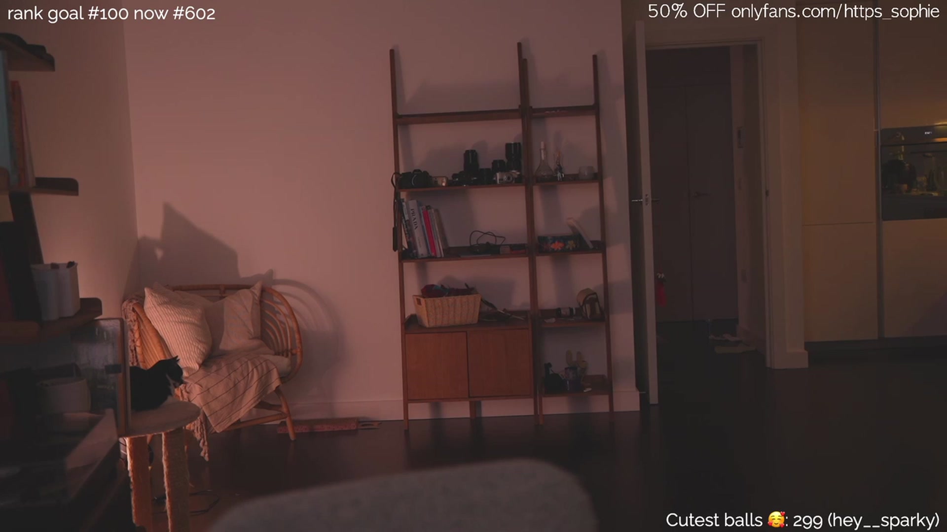 Gallery image thumbnail from https_sophie's myfreecams stream on, 03/17/2024, 01:17 image 12 of 20