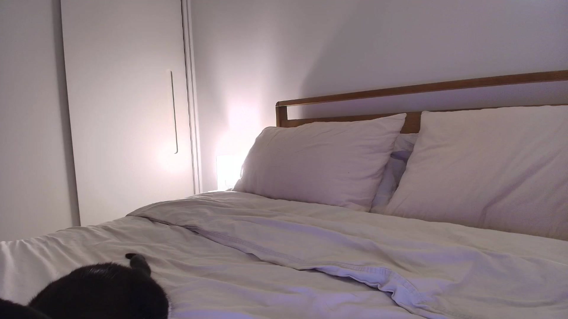 Gallery image thumbnail from https_sophie's myfreecams stream on, 06/02/2025, 01:44 image 1 of 20