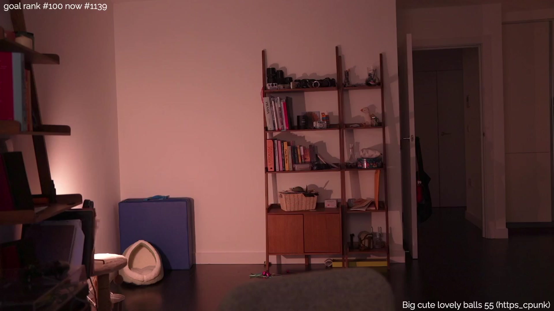 Gallery image thumbnail from https_sophie's myfreecams stream on, 06/24/2025, 21:54 image 17 of 20